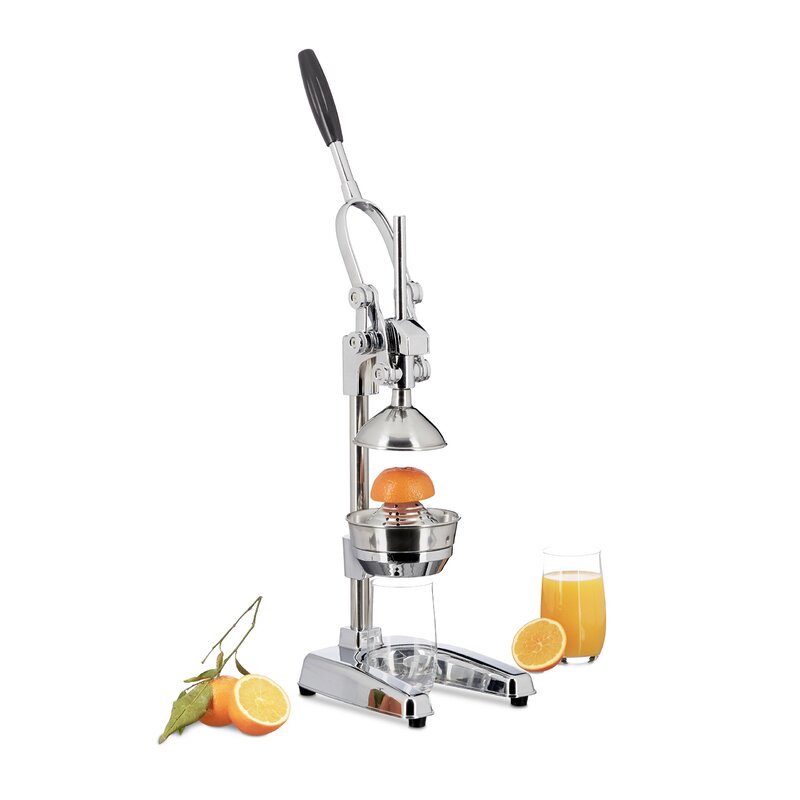 Symple Stuff Premium Manual Citrus Juicer | Wayfair.co.uk